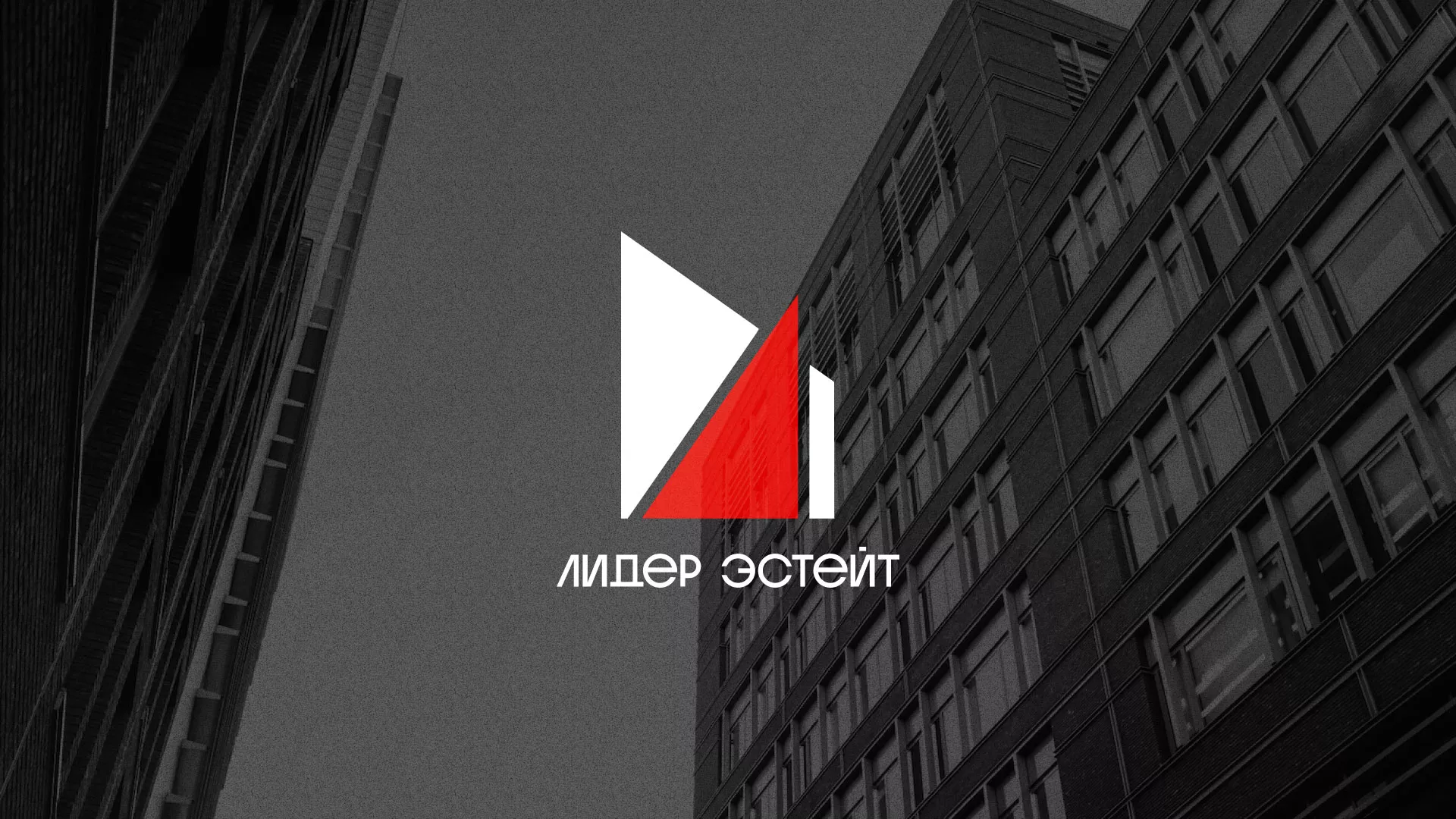 Сделали логотип для агентства недвижимости «Лидер Эстейт» в Моздоке